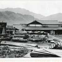 ｐ48　むかしの青島貯木場跡にある木材工場