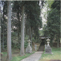 栃上神社の社叢