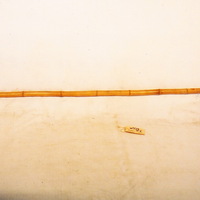 №1012-1_カワブネノサオ(川舟の竿)右側