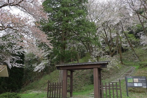 冠木門と桜を１枚に収めました。